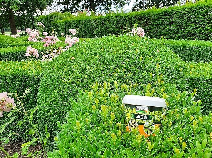 TOPBUXUS GROW - Professional Boxwood Fertiliser - 20kg