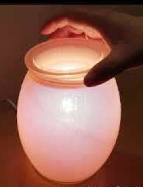 SUMMER RAIN SCENTSY WARMER