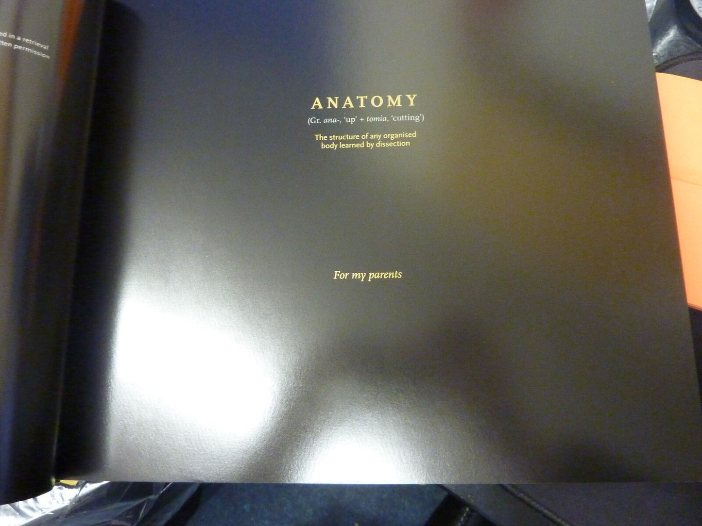 ANATOMY IN BLACK-EMILY EVANS