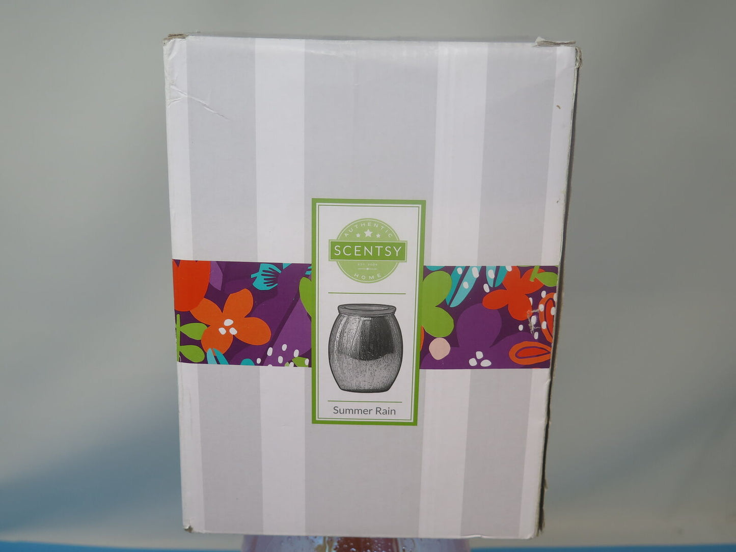 SUMMER RAIN SCENTSY WARMER