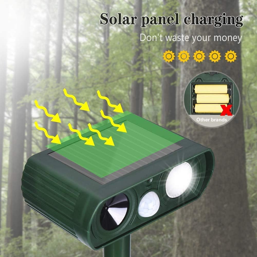 BLAZOR Cat Repellant Garden