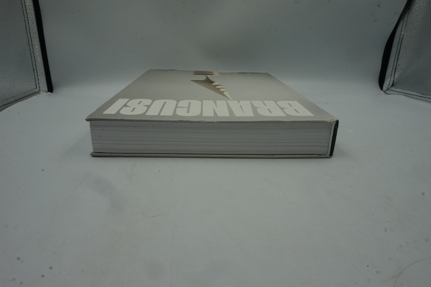 Constantin Brâncuși art is just beginning book