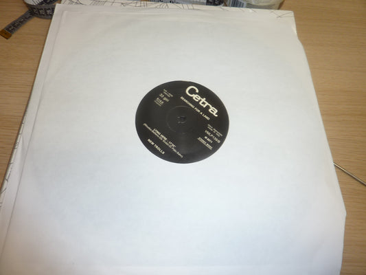 New Trolls-Searching For a Land Vinyl