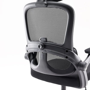 Sihoo M102C Ergonomic Chair