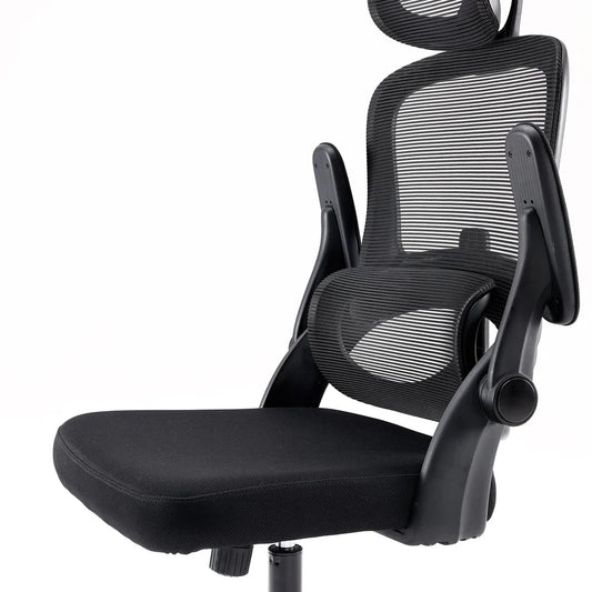 Sihoo M102C Ergonomic Chair