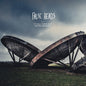 It's All There But You're Dreaming by False Heads (Record, 2020)