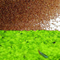 4 X Grass Seeds Fast Growing,10g EACH Big Double Leaves