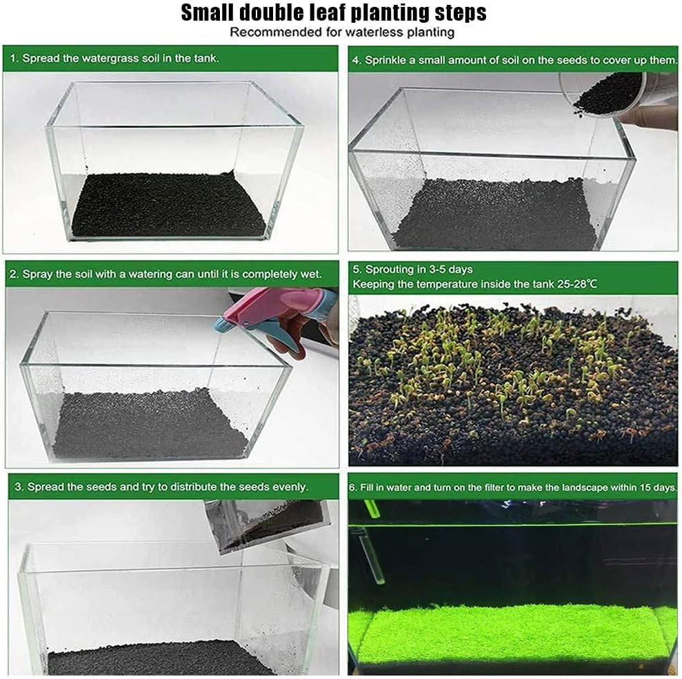 4 X Grass Seeds Fast Growing,10g EACH Big Double Leaves