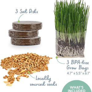 The Cat Ladies Pack of 3 Cat Grass Kit