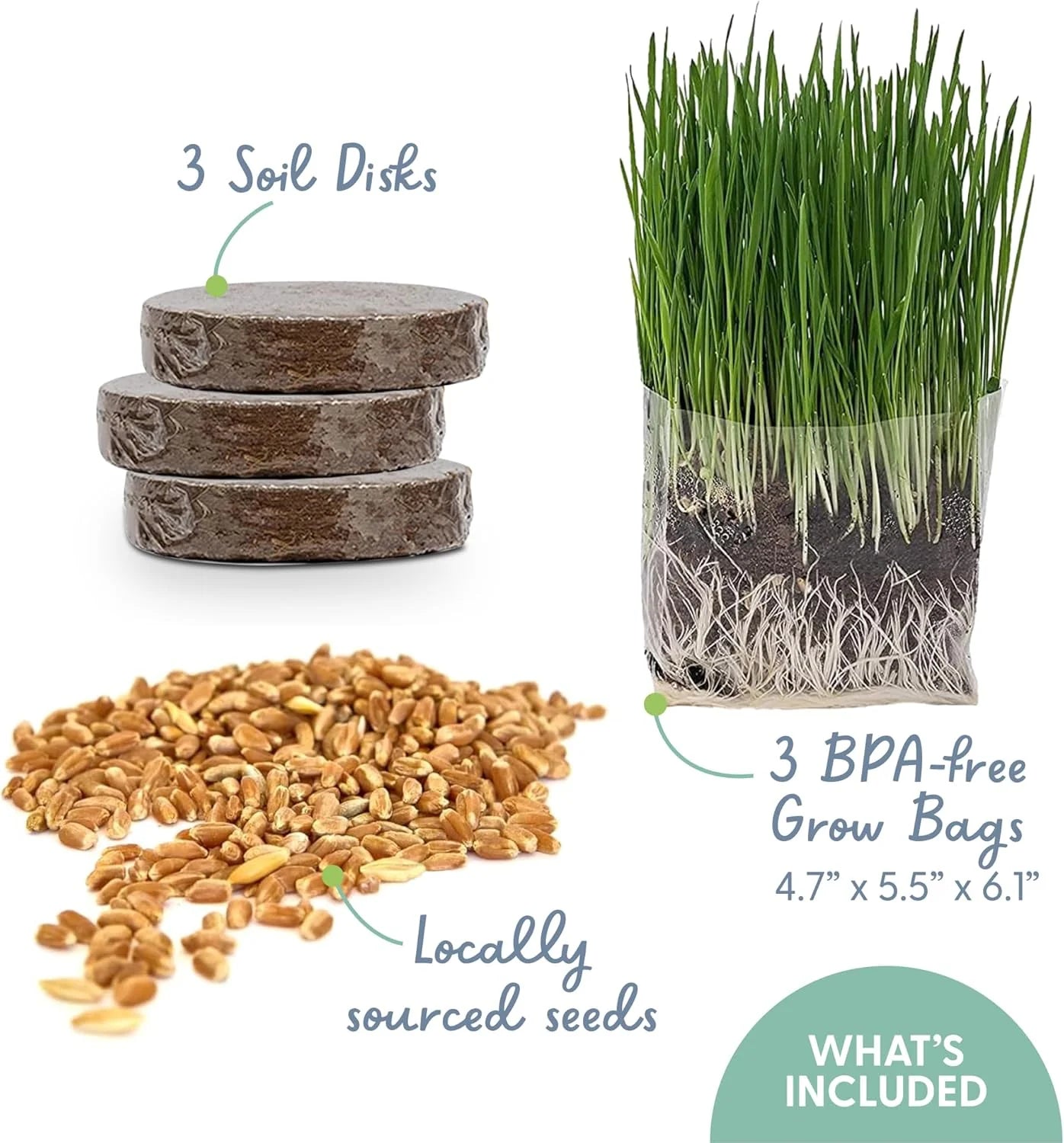 The Cat Ladies Pack of 3 Cat Grass Kit