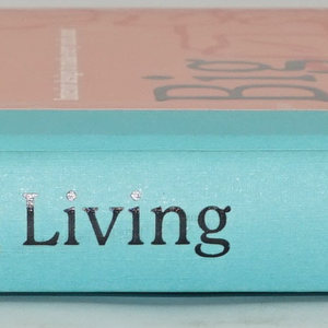 Small space big living: Interior design to make every inch count book by Sofie Hepworth
