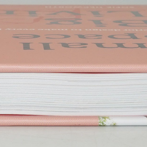 Small space big living: Interior design to make every inch count book by Sofie Hepworth