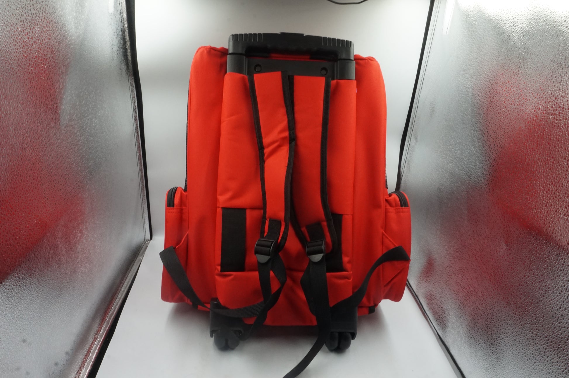 PawHut pet travel backpack carrier
