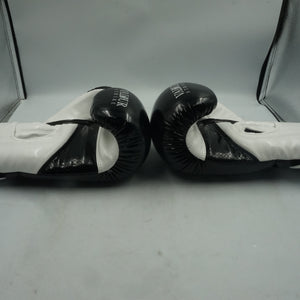 Valour strike boxing gloves 14oz