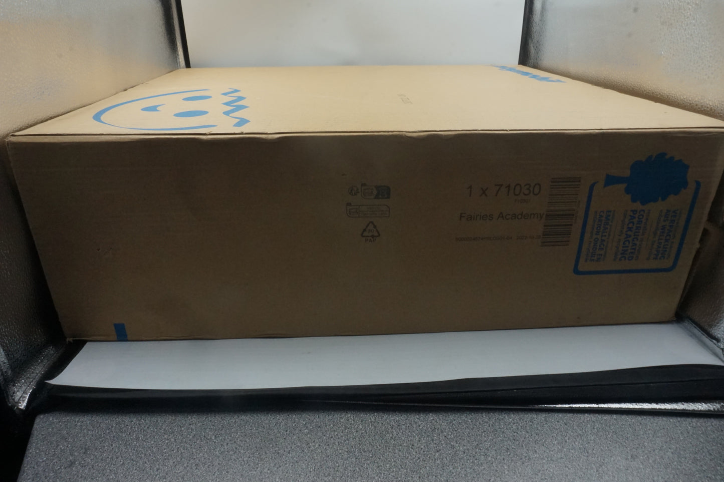 playmobil adventures of ayuma 71030 fairies academy