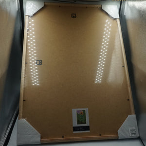 LIberty PSTR studio Robert Möllard sunflower vase oak framed Print size 50X70CM