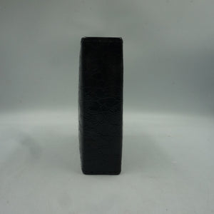 Shoe polish and cleaning travel case