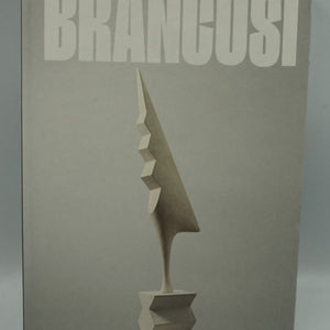 Constantin Brâncuși art is just beginning book