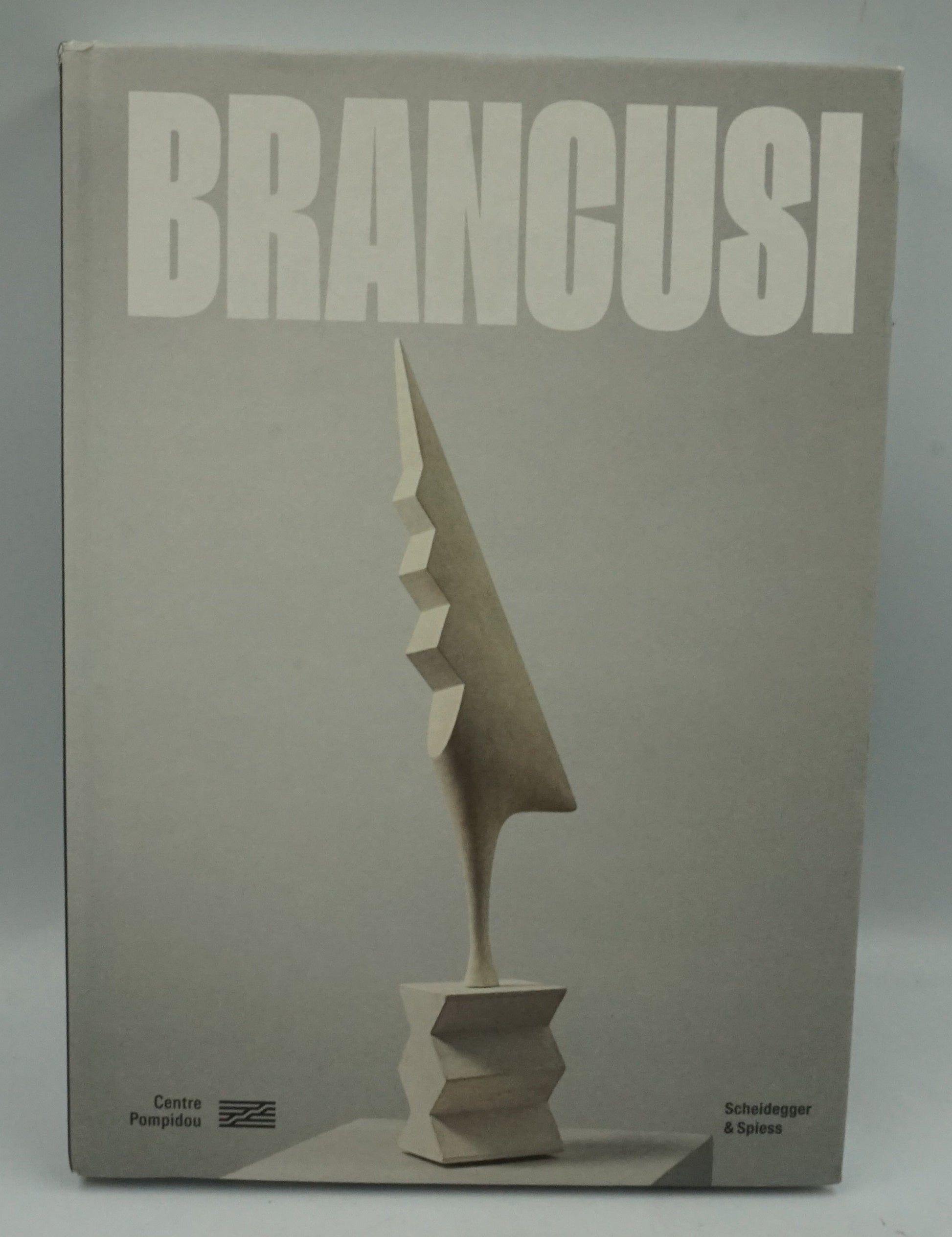 Constantin Brâncuși art is just beginning book