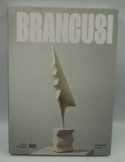 Constantin Brâncuși art is just beginning book