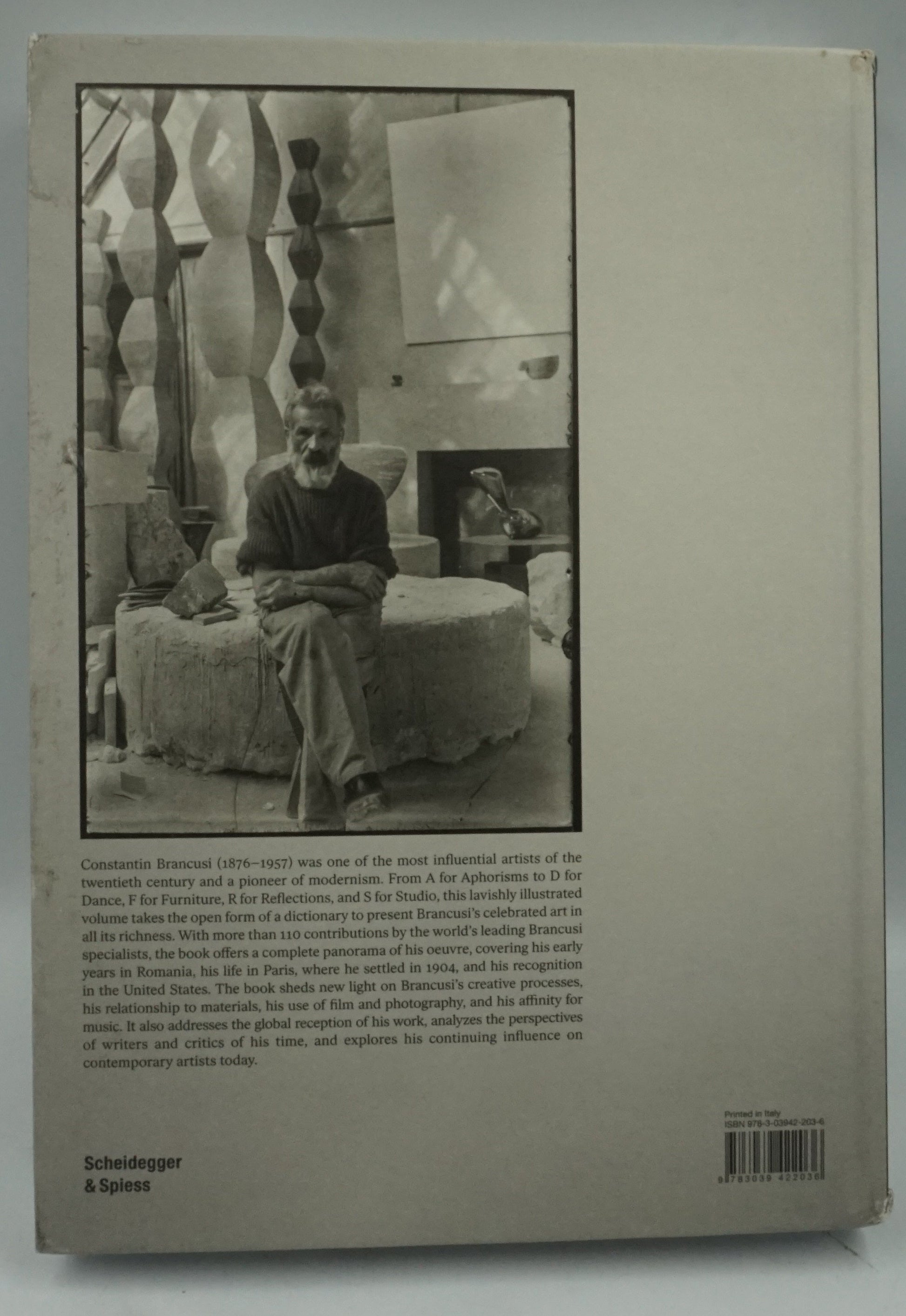 Constantin Brâncuși art is just beginning book