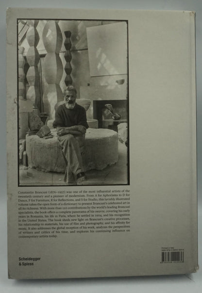 Constantin Brâncuși art is just beginning book