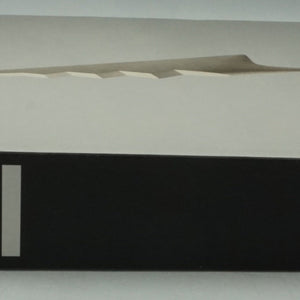 Constantin Brâncuși art is just beginning book