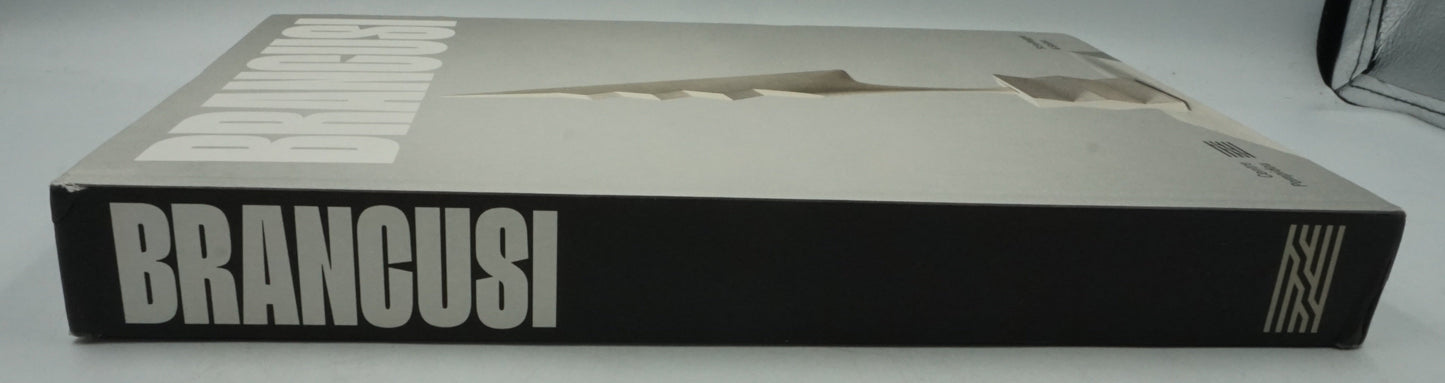 Constantin Brâncuși art is just beginning book