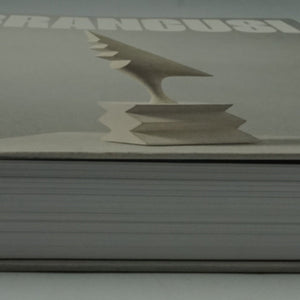 Constantin Brâncuși art is just beginning book