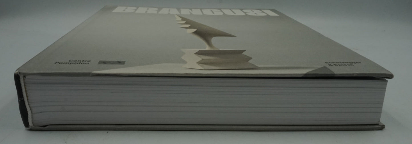 Constantin Brâncuși art is just beginning book