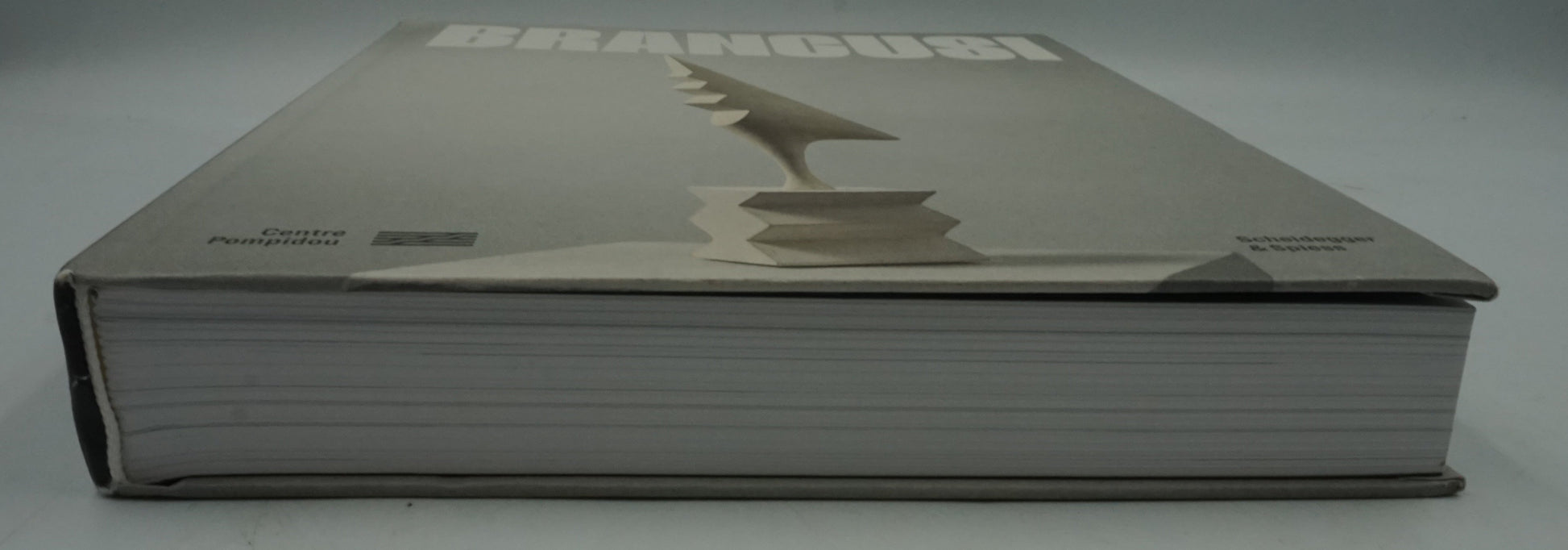 Constantin Brâncuși art is just beginning book