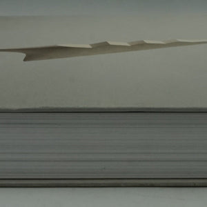 Constantin Brâncuși art is just beginning book