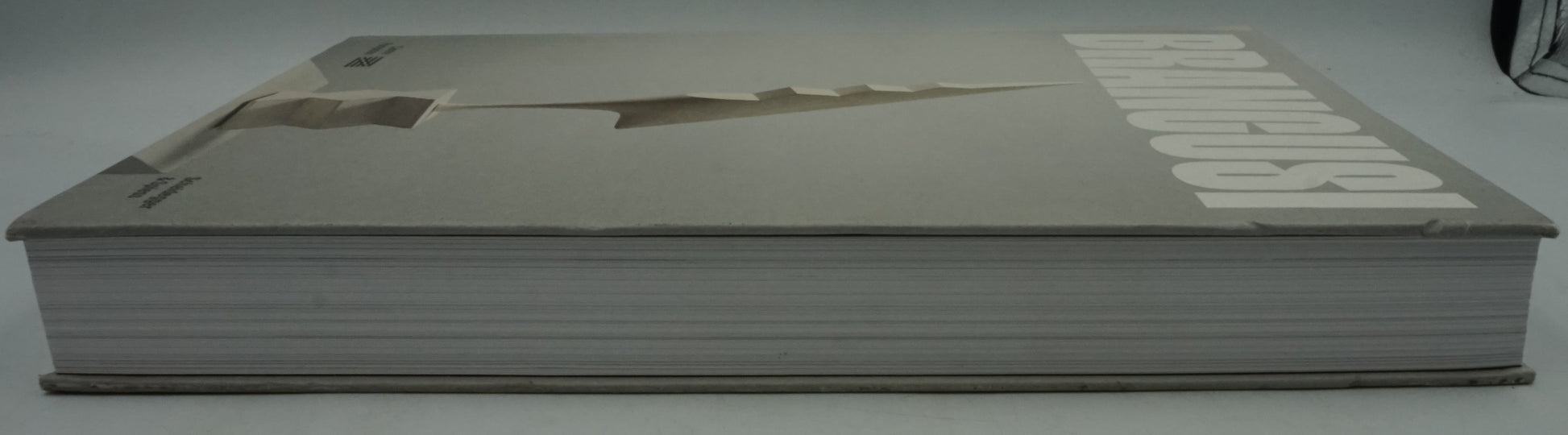 Constantin Brâncuși art is just beginning book