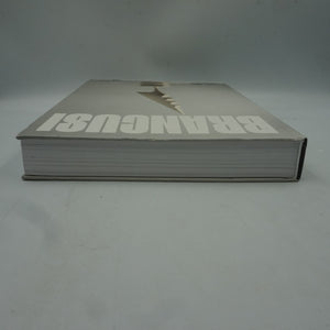 Constantin Brâncuși art is just beginning book