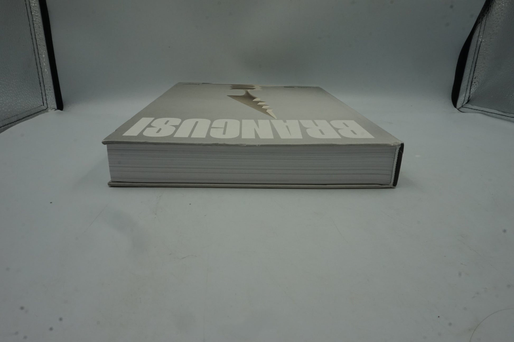 Constantin Brâncuși art is just beginning book