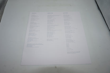 Ziggy alberts searching for freedom vinyl