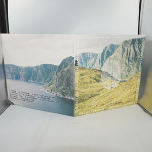 Ziggy alberts searching for freedom vinyl