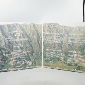 Ziggy alberts searching for freedom vinyl