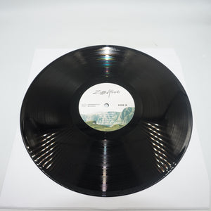 Ziggy alberts searching for freedom vinyl