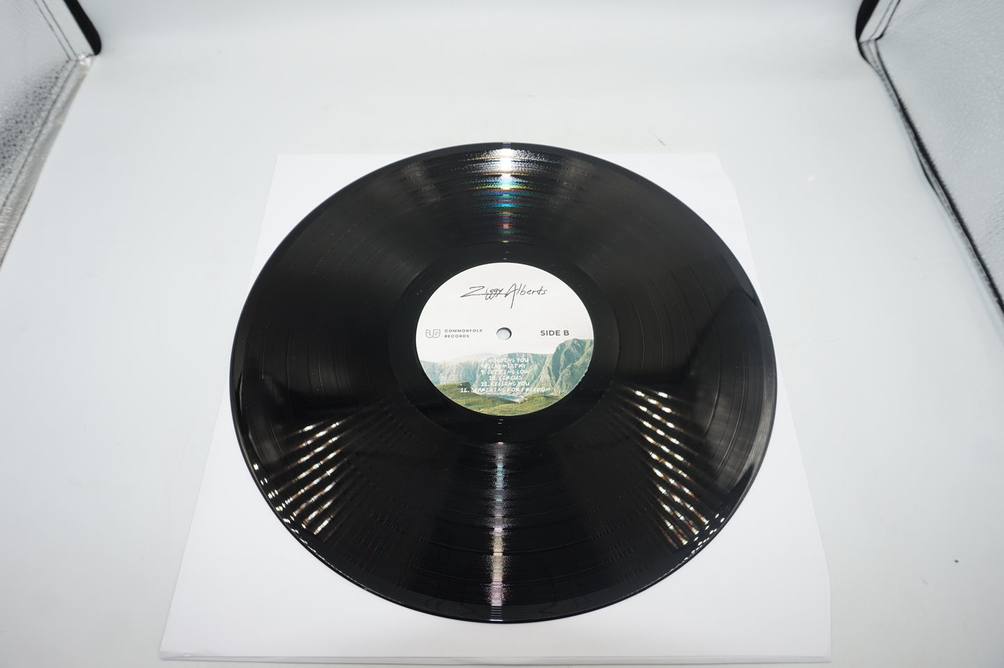 Ziggy alberts searching for freedom vinyl