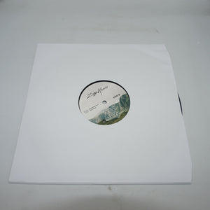 Ziggy alberts searching for freedom vinyl