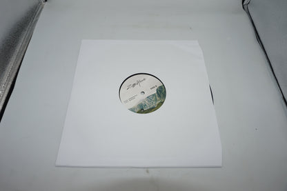 Ziggy alberts searching for freedom vinyl