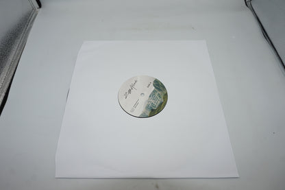 Ziggy alberts searching for freedom vinyl