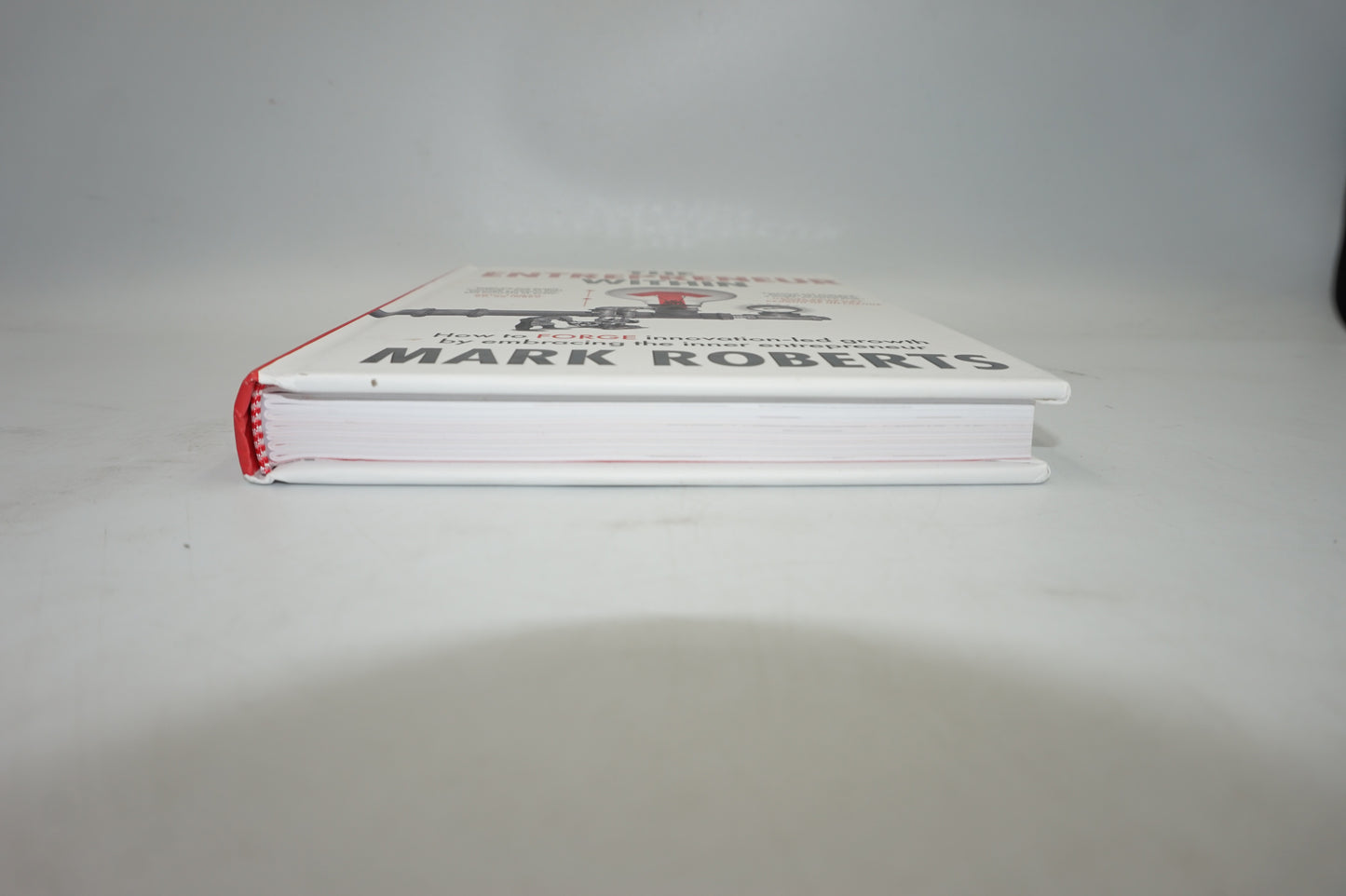Mark Roberts The Entrepreneur within book