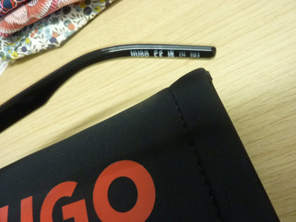 Hugo Boss HG 1069/S 807(AO) sunglasses