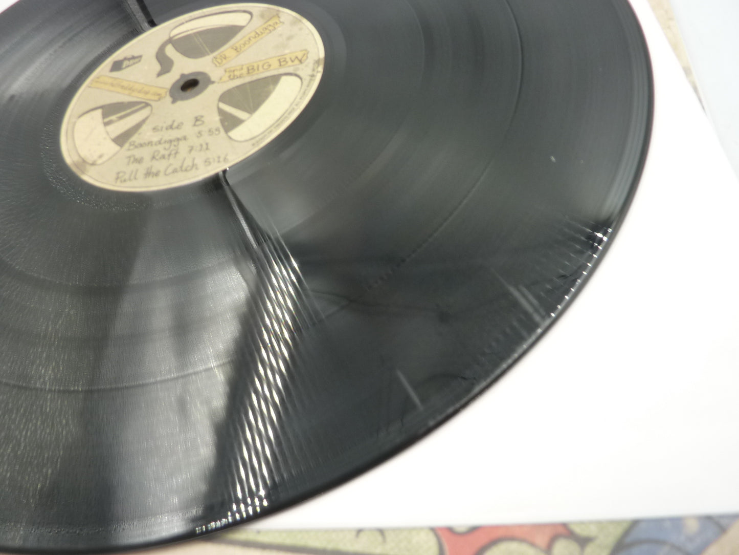 Fat Freddys Drop Dr. Boonidigga & The Big BW Vinyl