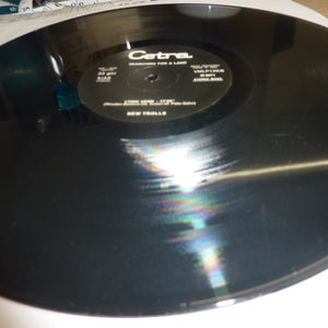 New Trolls-Searching For a Land Vinyl