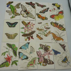 2 X 12PK Berkin Arts Butterfly Cards & Envelopes 6