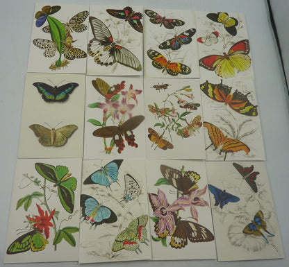 2 X 12PK Berkin Arts Butterfly Cards & Envelopes 6" X 4"