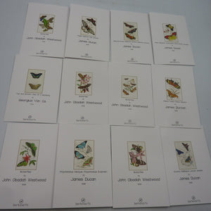 2 X 12PK Berkin Arts Butterfly Cards & Envelopes 6